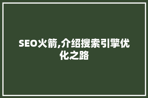 SEO火箭,介绍搜索引擎优化之路