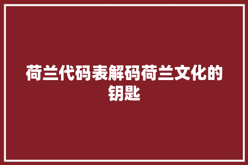荷兰代码表解码荷兰文化的钥匙  第1张
