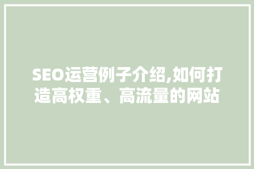 SEO运营例子介绍,如何打造高权重、高流量的网站