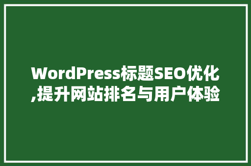 WordPress标题SEO优化,提升网站排名与用户体验的关键步骤