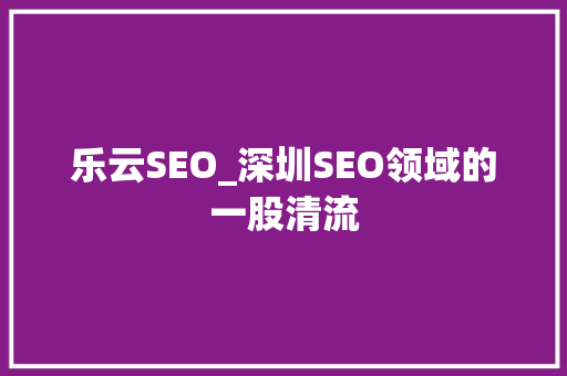 乐云SEO_深圳SEO领域的一股清流