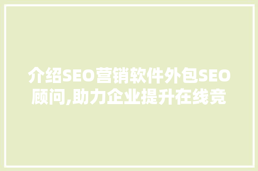 介绍SEO营销软件外包SEO顾问,助力企业提升在线竞争力
