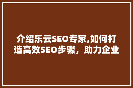介绍乐云SEO专家,如何打造高效SEO步骤，助力企业提升在线竞争力