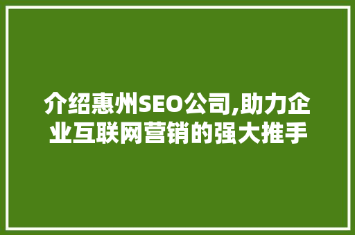 介绍惠州SEO公司,助力企业互联网营销的强大推手