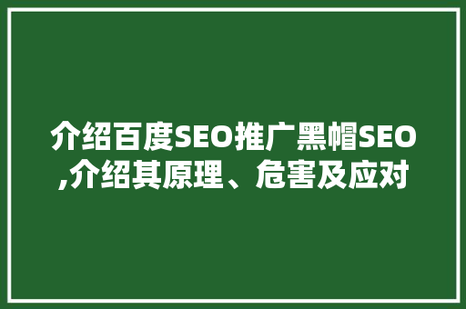 介绍百度SEO推广黑帽SEO,介绍其原理、危害及应对步骤