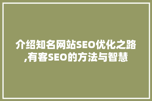 介绍知名网站SEO优化之路,有客SEO的方法与智慧