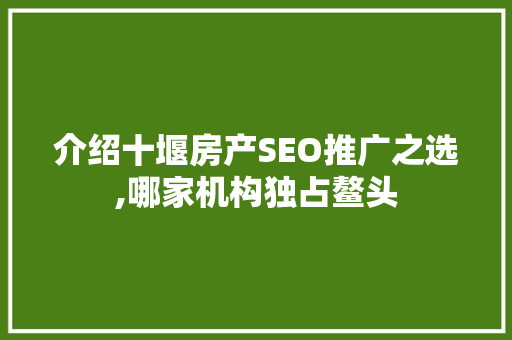 介绍十堰房产SEO推广之选,哪家机构独占鳌头