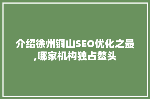 介绍徐州铜山SEO优化之最,哪家机构独占鳌头