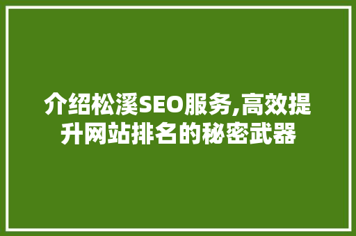 介绍松溪SEO服务,高效提升网站排名的秘密武器