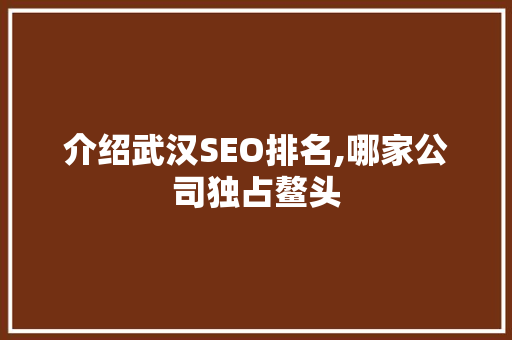 介绍武汉SEO排名,哪家公司独占鳌头