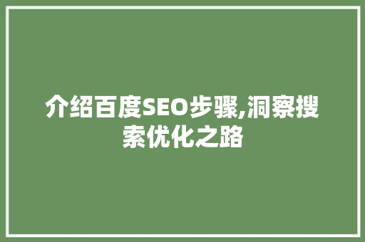 介绍百度SEO步骤,洞察搜索优化之路