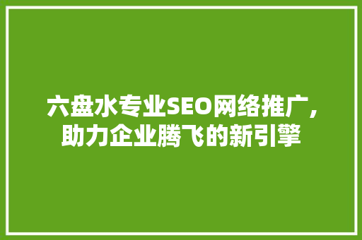 六盘水专业SEO网络推广,助力企业腾飞的新引擎