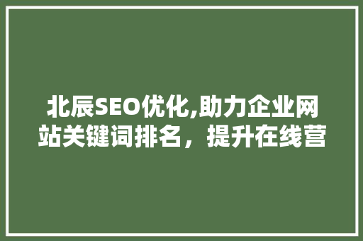 北辰SEO优化,助力企业网站关键词排名，提升在线营销效果