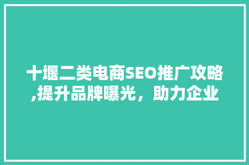 十堰二类电商SEO推广攻略,提升品牌曝光，助力企业腾飞