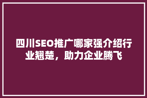 四川SEO推广哪家强介绍行业翘楚，助力企业腾飞