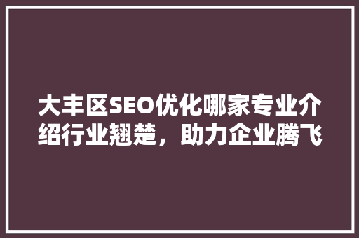 大丰区SEO优化哪家专业介绍行业翘楚，助力企业腾飞  第1张