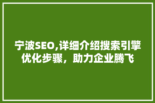宁波SEO,详细介绍搜索引擎优化步骤，助力企业腾飞