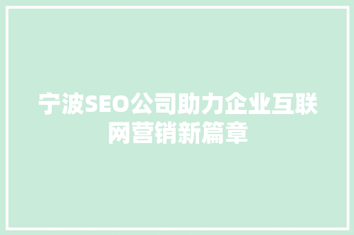 宁波SEO公司助力企业互联网营销新篇章