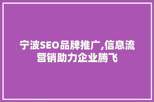 宁波SEO品牌推广,信息流营销助力企业腾飞
