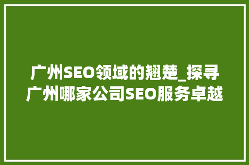 广州SEO领域的翘楚_探寻广州哪家公司SEO服务卓越