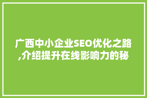 广西中小企业SEO优化之路,介绍提升在线影响力的秘密武器