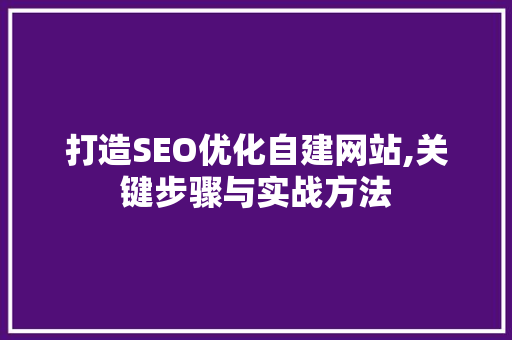 打造SEO优化自建网站,关键步骤与实战方法