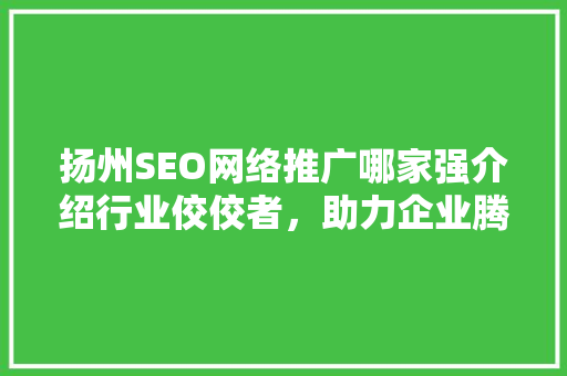 扬州SEO网络推广哪家强介绍行业佼佼者，助力企业腾飞