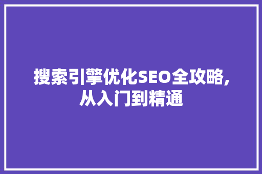 搜索引擎优化SEO全攻略,从入门到精通