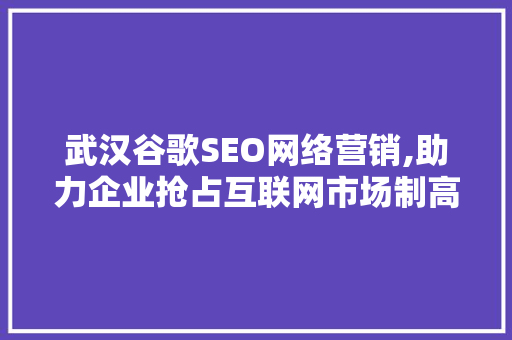 武汉谷歌SEO网络营销,助力企业抢占互联网市场制高点