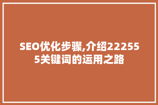 SEO优化步骤,介绍222555关键词的运用之路