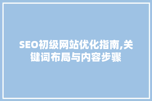 SEO初级网站优化指南,关键词布局与内容步骤