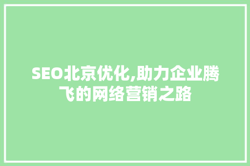 SEO北京优化,助力企业腾飞的网络营销之路