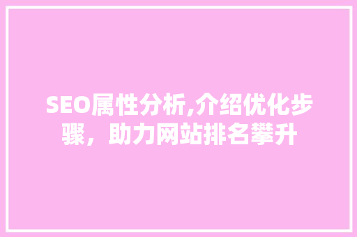 SEO属性分析,介绍优化步骤，助力网站排名攀升