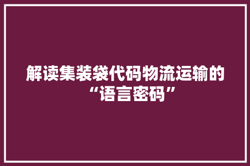 解读集装袋代码物流运输的“语言密码”
