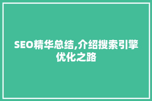 SEO精华总结,介绍搜索引擎优化之路