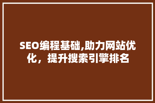 SEO编程基础,助力网站优化，提升搜索引擎排名