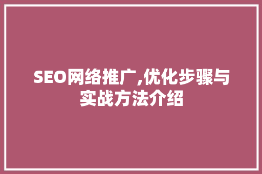 SEO网络推广,优化步骤与实战方法介绍