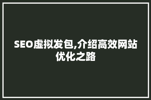 SEO虚拟发包,介绍高效网站优化之路