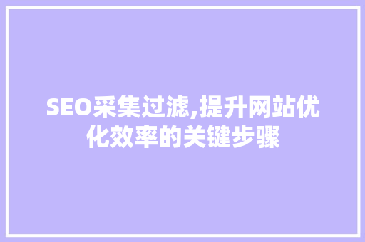 SEO采集过滤,提升网站优化效率的关键步骤