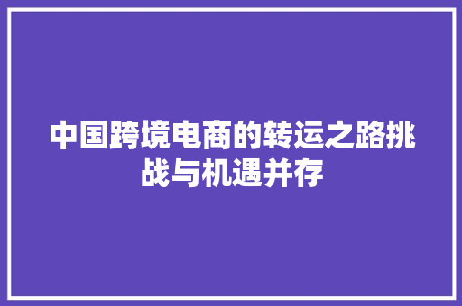 中国跨境电商的转运之路挑战与机遇并存
