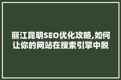 丽江昆明SEO优化攻略,如何让你的网站在搜索引擎中脱颖而出