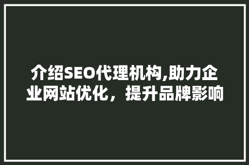 介绍SEO代理机构,助力企业网站优化，提升品牌影响力  第1张
