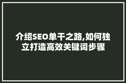 介绍SEO单干之路,如何独立打造高效关键词步骤  第1张