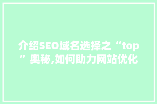 介绍SEO域名选择之“top”奥秘,如何助力网站优化脱颖而出
