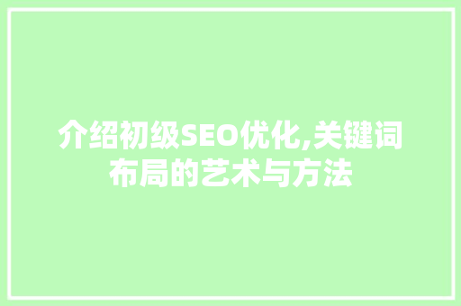 介绍初级SEO优化,关键词布局的艺术与方法