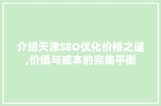 介绍天津SEO优化价格之谜,价值与成本的完美平衡