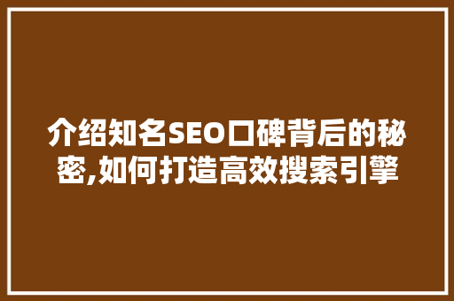 介绍知名SEO口碑背后的秘密,如何打造高效搜索引擎优化步骤  第1张