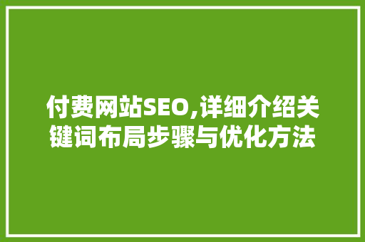 付费网站SEO,详细介绍关键词布局步骤与优化方法