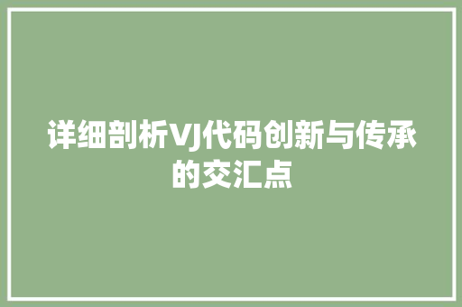 详细剖析VJ代码创新与传承的交汇点