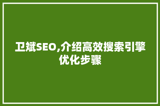 卫斌SEO,介绍高效搜索引擎优化步骤